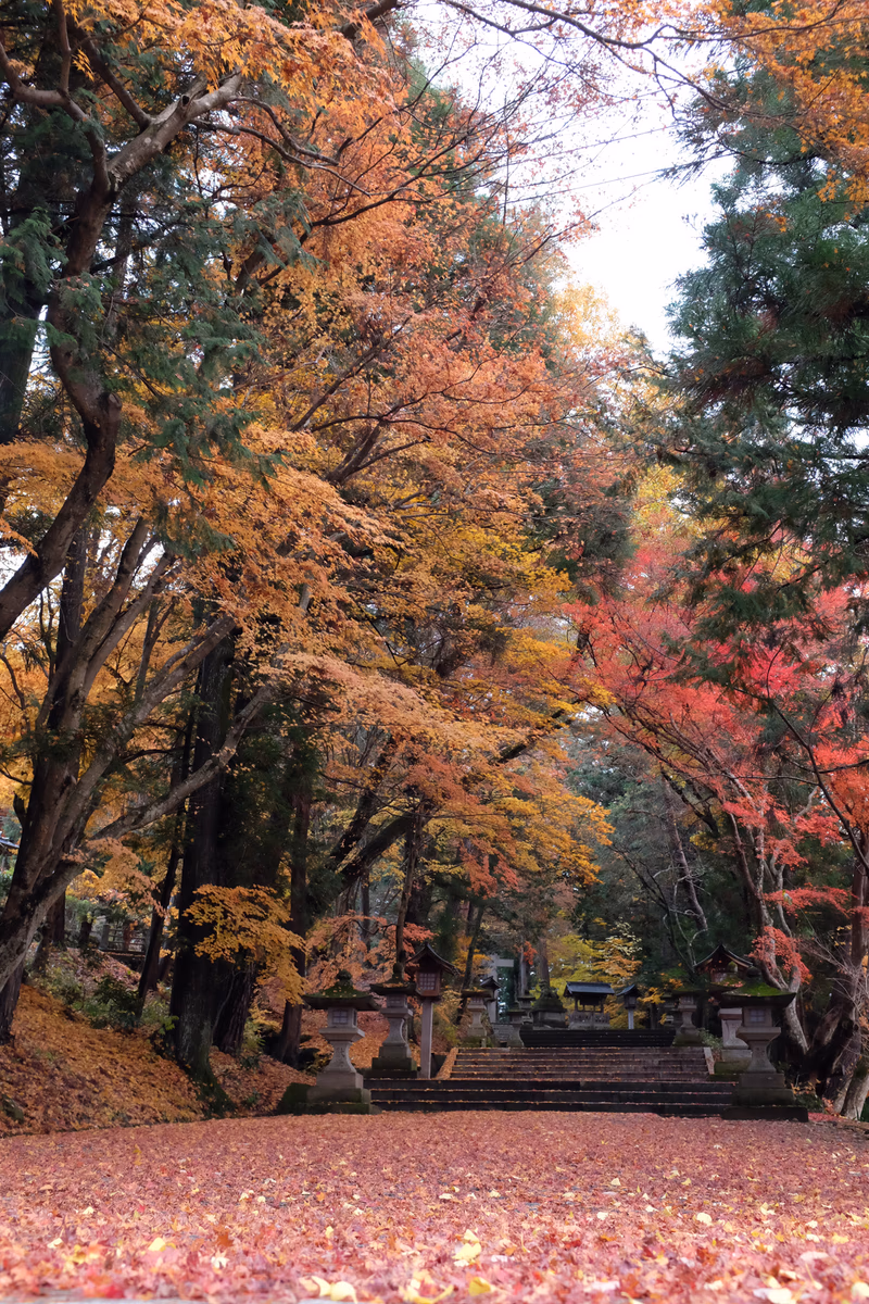A serene autumn scene in a forest with colorful leaves and stone steps leading up to a hidden structure.