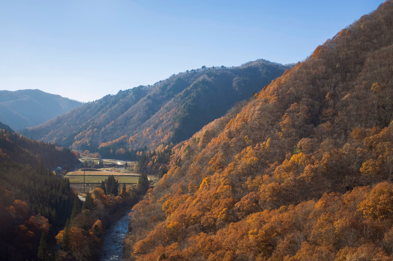 A view of a winding river flowing through a valley surrounded by densely forested mountains during autumn.