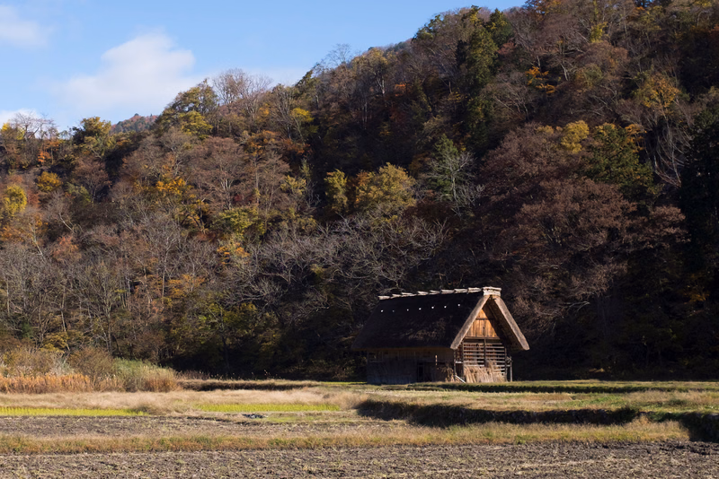 A small wooden cabin sits at the edge of a dense, colorful forest on a sunny day.