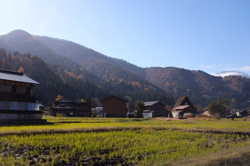 A rural landscape featuring a vibrant green rice field in the foreground, backed by rolling mountains covered in autumn foliage and a small village.