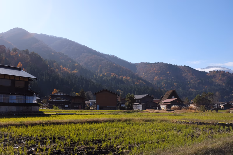 A serene village nestled in the heart of Japan's picturesque countryside, surrounded by lush forests and majestic mountains. The traditional houses and fields reflect the timeless beauty of rural life.