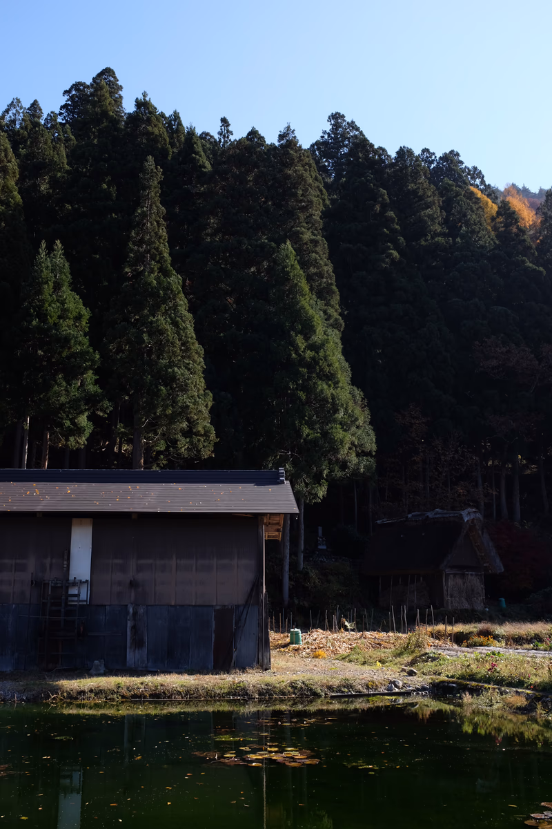 A serene landscape with a traditional Japanese building nestled among tall trees and a pond.