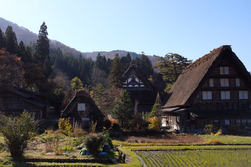 A row of traditional Japanese houses with thatched roofs stands near green rice paddies against a backdrop of forested mountains.