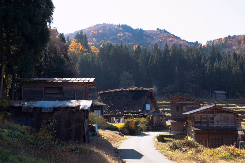 A winding road passes through a rural area lined with traditional wooden houses and dense forest during autumn.