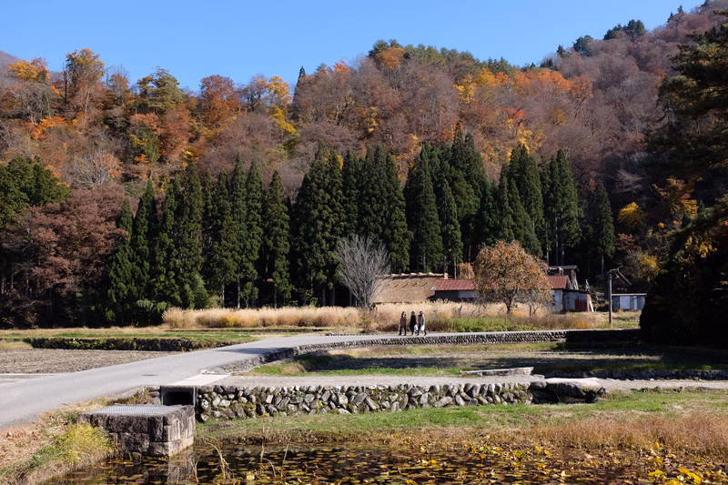 A paved path runs past a pond in the foreground, with dense autumn-colored trees covering a hillside in the background.