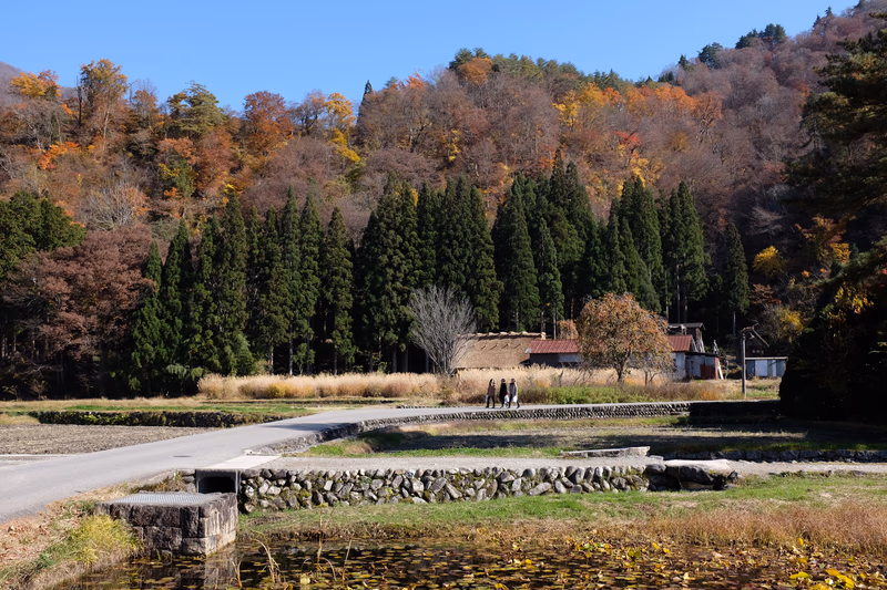 A serene autumn landscape with a path leading to a house surrounded by trees and a pond in the foreground.
