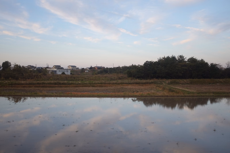 A calm body of water reflects the pale blue sky and scattered clouds, with trees lining the far bank.