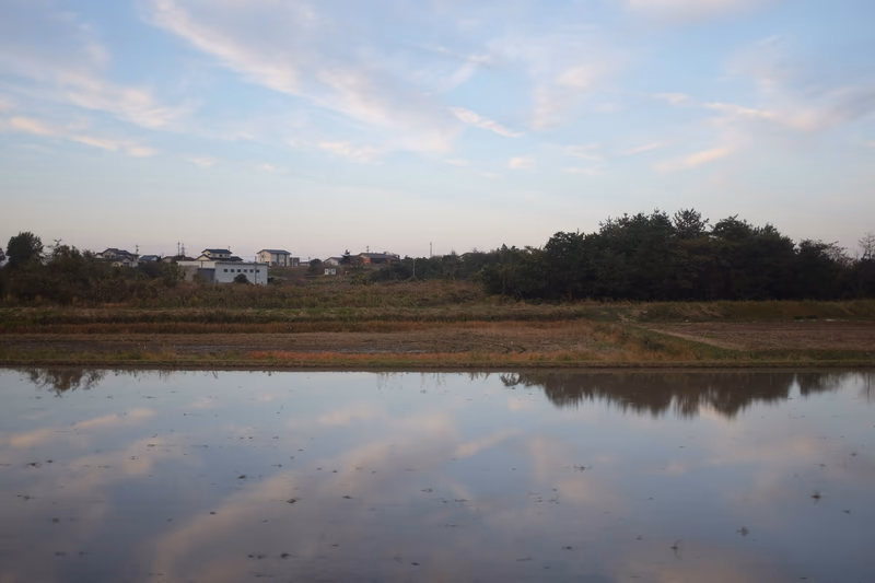 A serene rural landscape with a pond reflecting the clouds and houses in the distance.