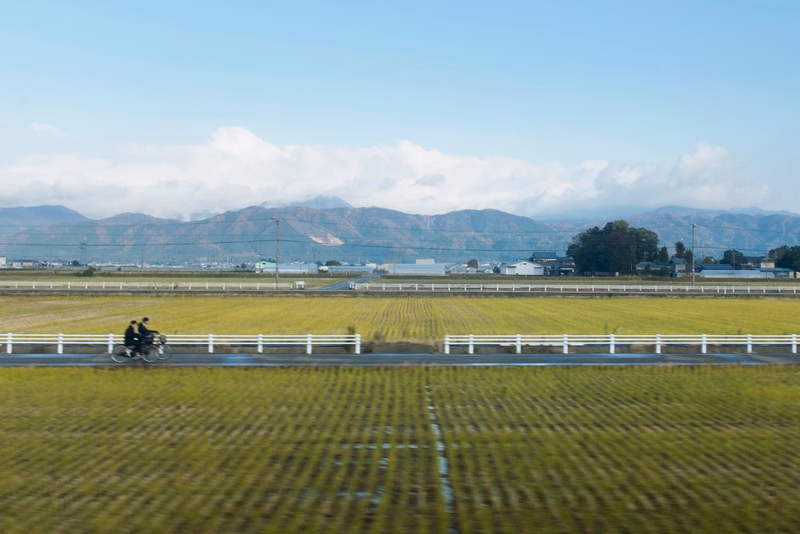 A jockey on a horse races across a green field track with mountains visible in the background under a bright sky.