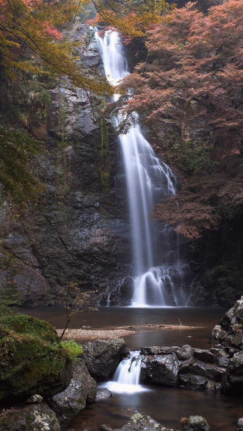 A tall, cascading waterfall flows down a rocky cliff surrounded by dense, autumnal forest trees.