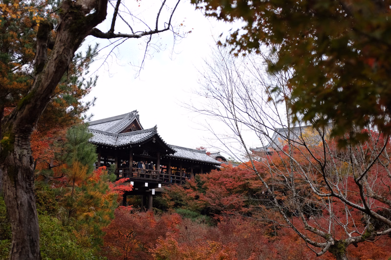 Traditional Japanese temple buildings are nestled among vibrant red and orange autumn foliage under a bright sky.