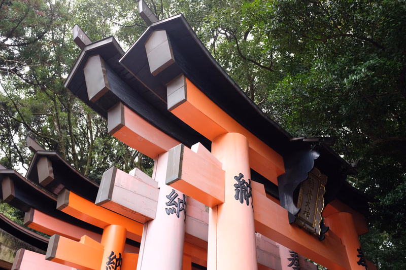 A vibrant orange torii gate with black trim stands outdoors, surrounded by lush green trees.