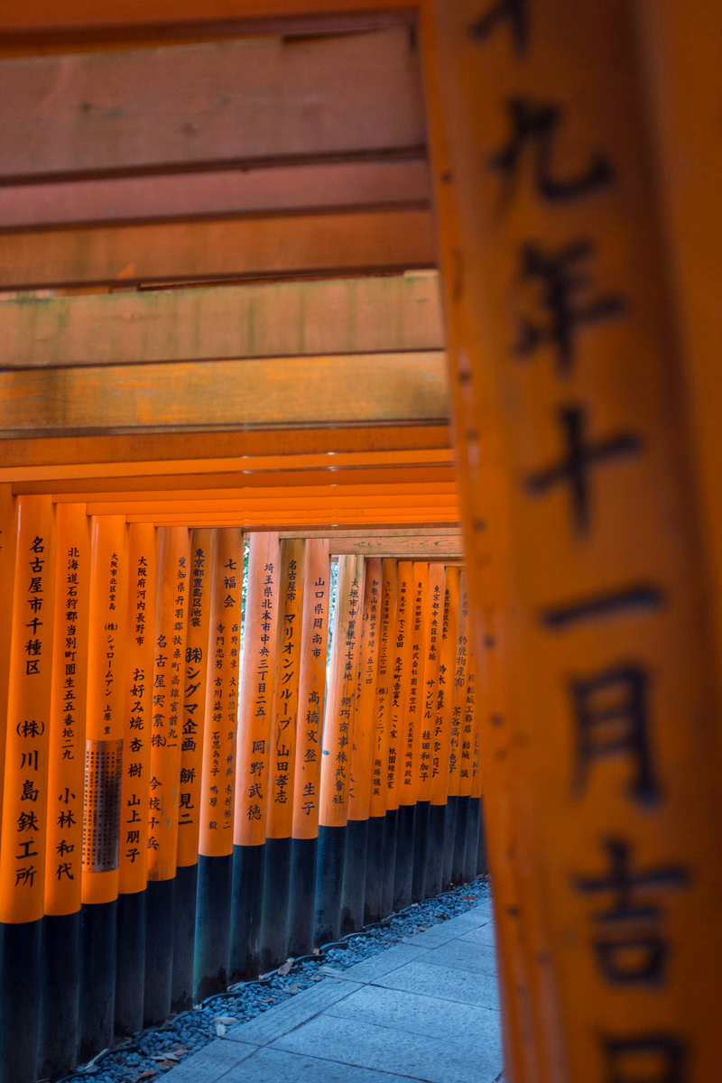 A close-up view down a row of wooden torii gates, with large vertical characters reading "九年十" visible on the nearest gate.