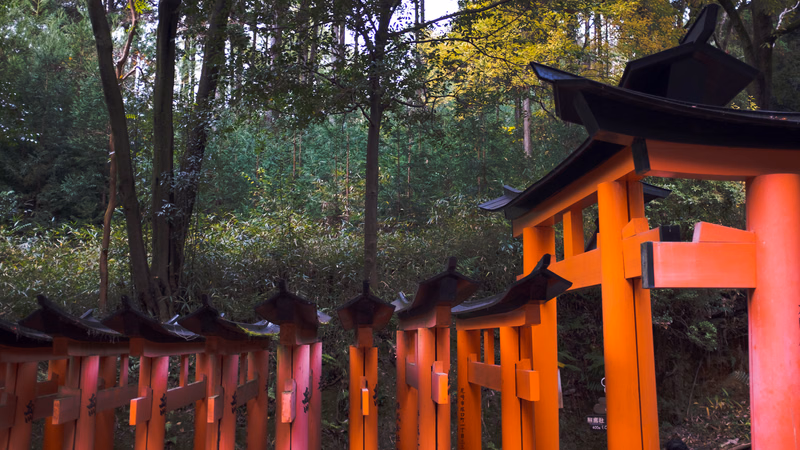 A bright orange torii gate stands in the foreground against a dense backdrop of green trees in a forest setting.