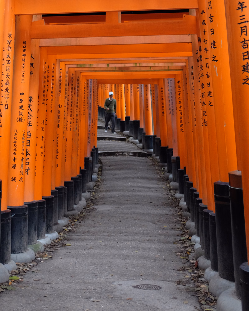 A long pathway lined with bright orange torii gates leads toward a shrine, with legible text on the gates including "年三月吉日建立".