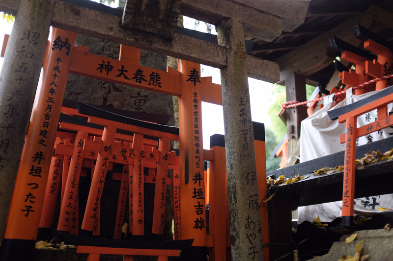 A close-up view of several bright orange torii gates at a shinto shrine, with text visible on the gates, including "神大春熊".
