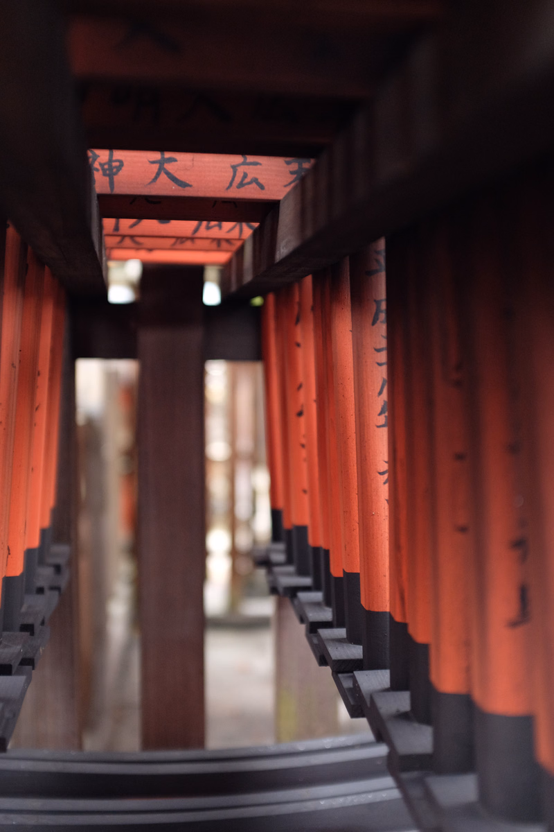 A view looking through the red wooden beams of a torii gate, with Japanese characters reading "神大広手" visible on the crossbeam.