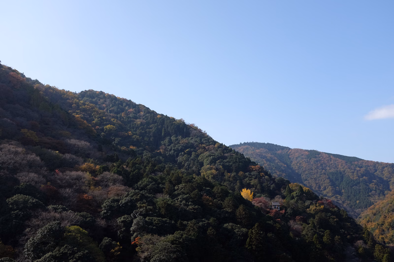 A panoramic view of rolling hills covered in dense autumn foliage under a clear blue sky.