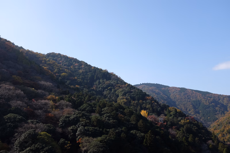A beautiful autumn mountain landscape with lush green trees and a clear blue sky.