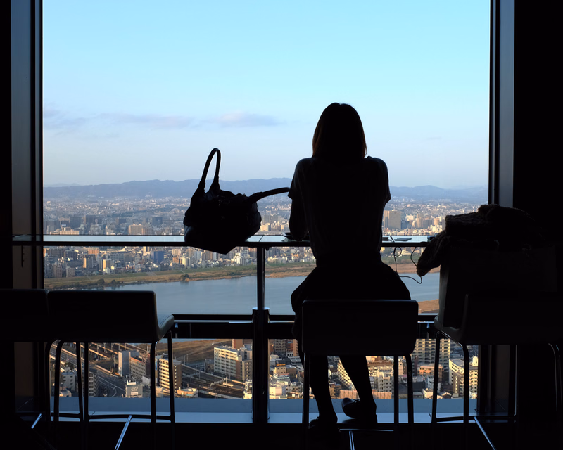 A person in silhouette stands by a large window overlooking a sprawling city and body of water, holding a dark bag.