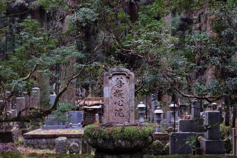 An old stone tombstone with Japanese characters, reading "喜愛心院", is surrounded by moss and trees in a dense graveyard.