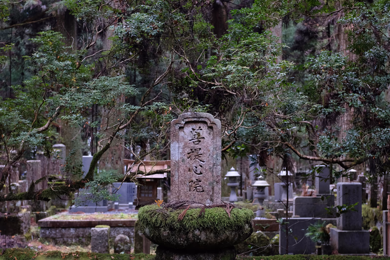 A gravestone in a serene cemetery surrounded by lush greenery.
