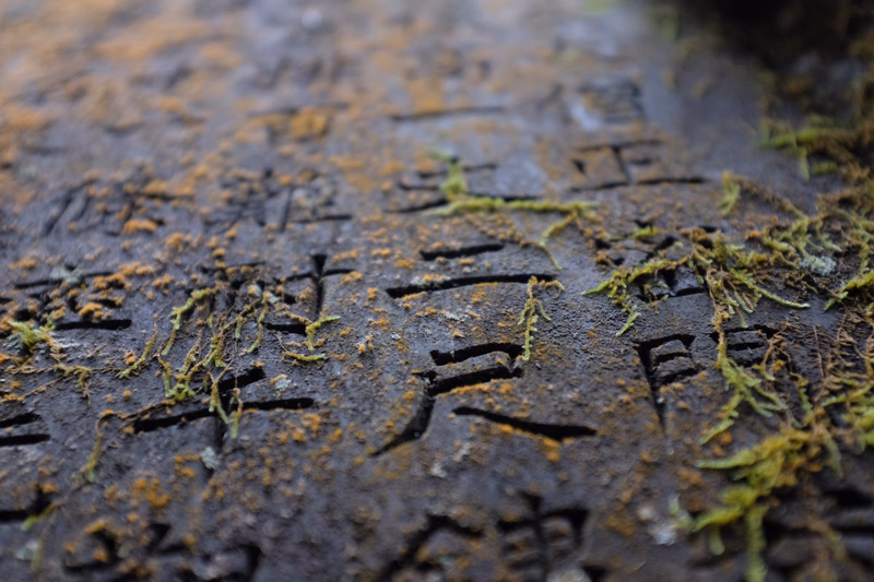 Close-up of an old, moss-covered stone tablet featuring carved Chinese characters.