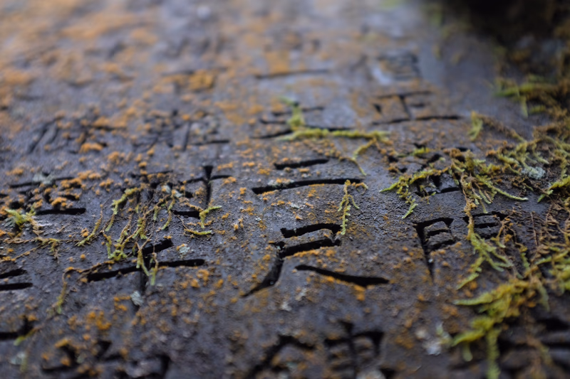 A close-up photograph of a textured surface with moss and some engraved text.
