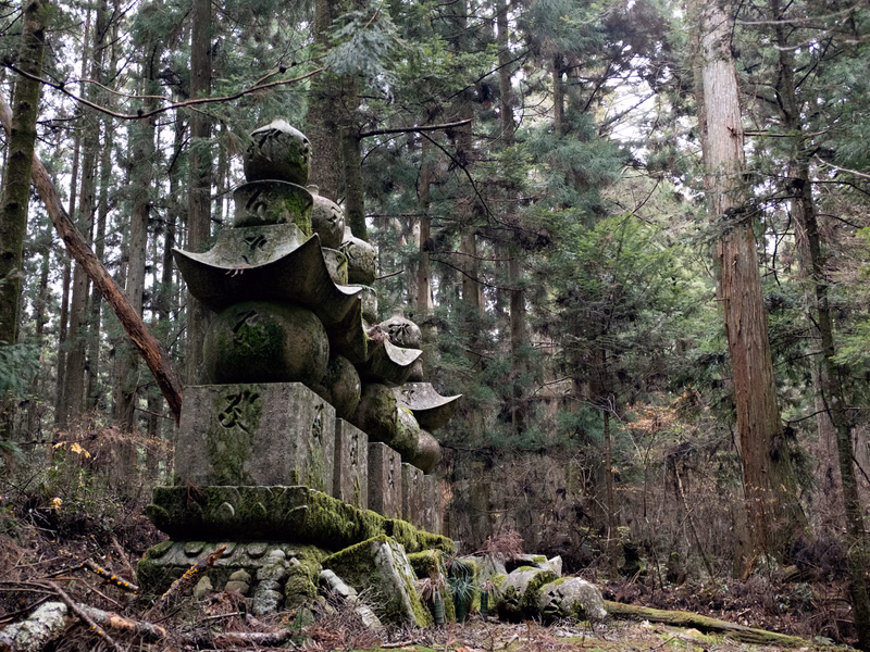 A moss-covered stone lantern sculpture stands in a dense, tall evergreen forest.