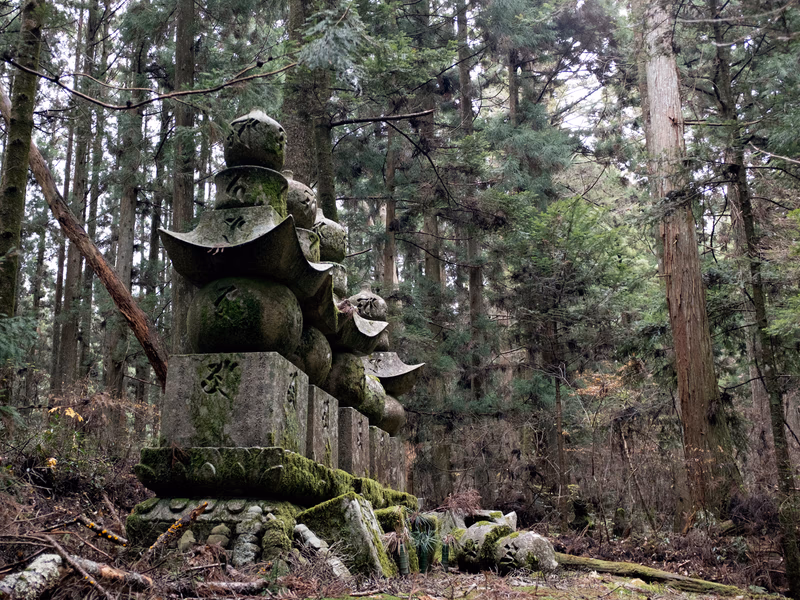A photo of stone lanterns in a forest, a serene and ancient place.