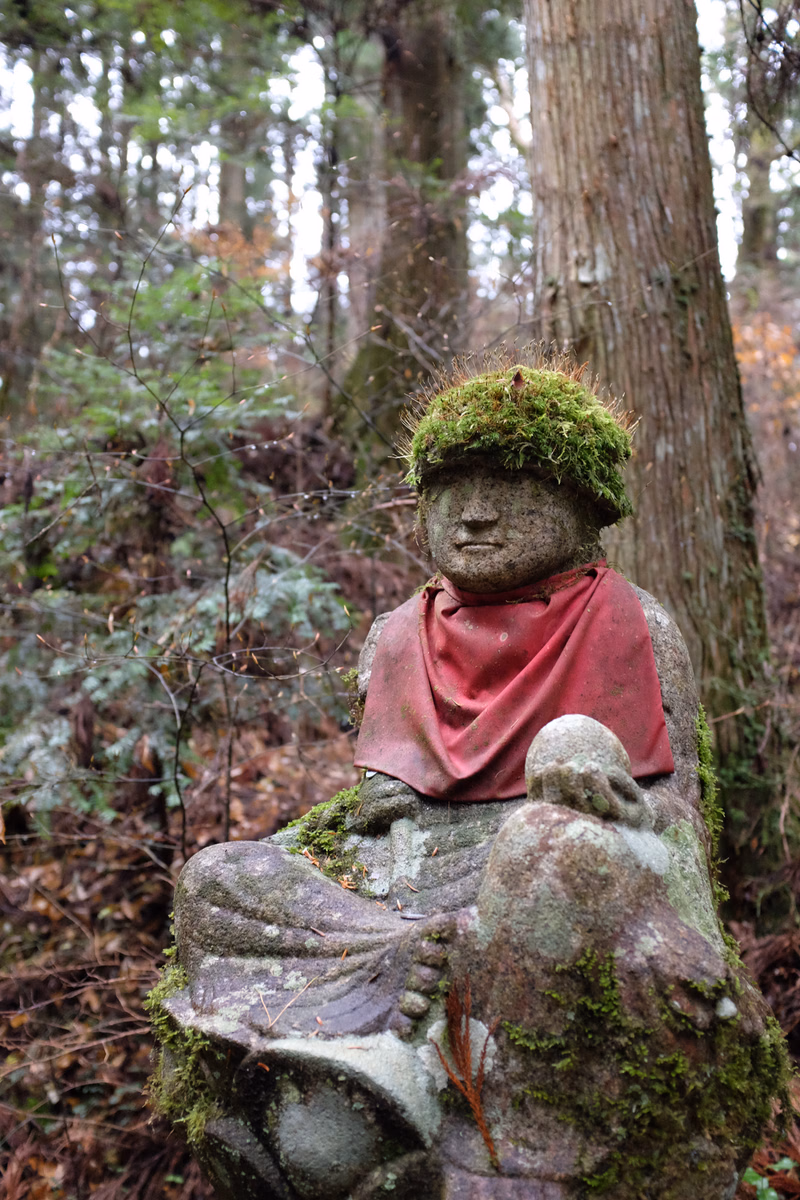 A moss-covered stone statue of a smiling figure sits outdoors amidst dense foliage and tall trees.