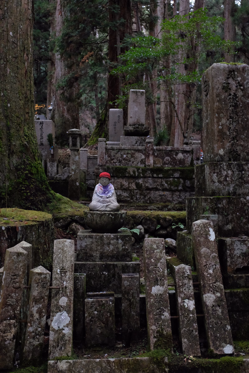 A small figure sits among numerous old stone graves and tall trees at a Japanese shrine.