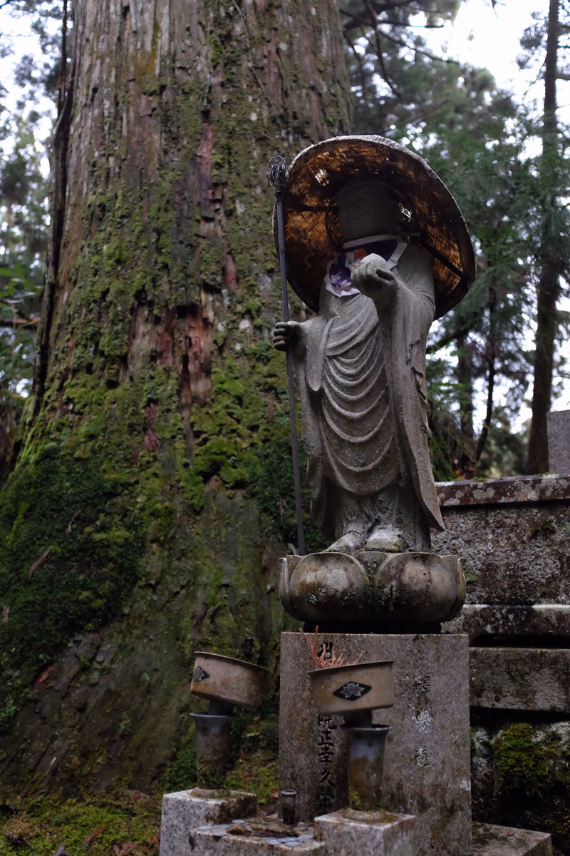 A stone statue of a bodhisattva wearing a wide hat stands outdoors next to a large, moss-covered tree.