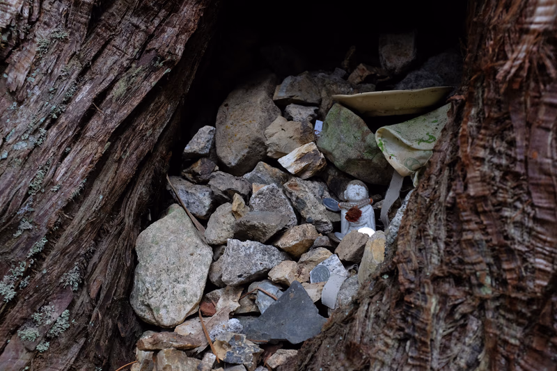 A snowman made out of rocks and a green bag placed inside a hollowed-out tree trunk.