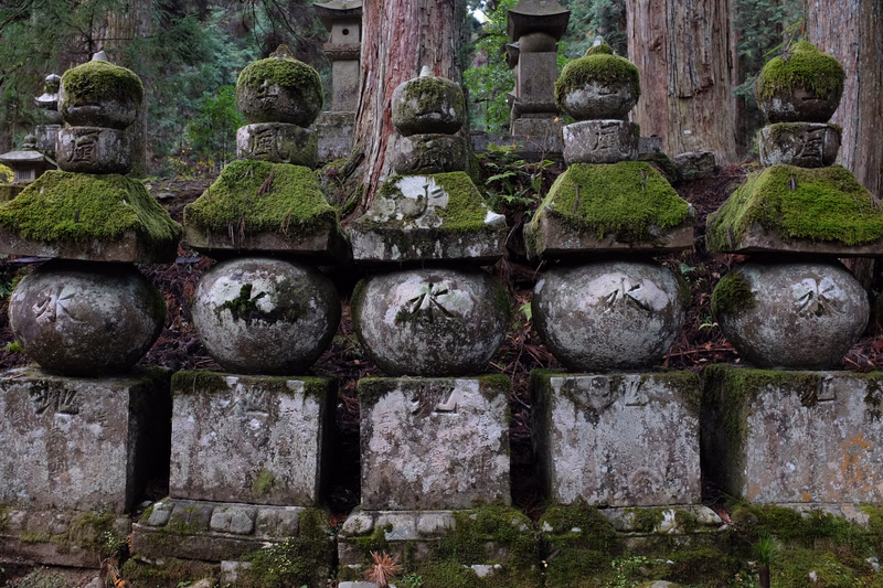 A row of moss-covered stone lanterns and grave markers stands in a wooded garden setting.