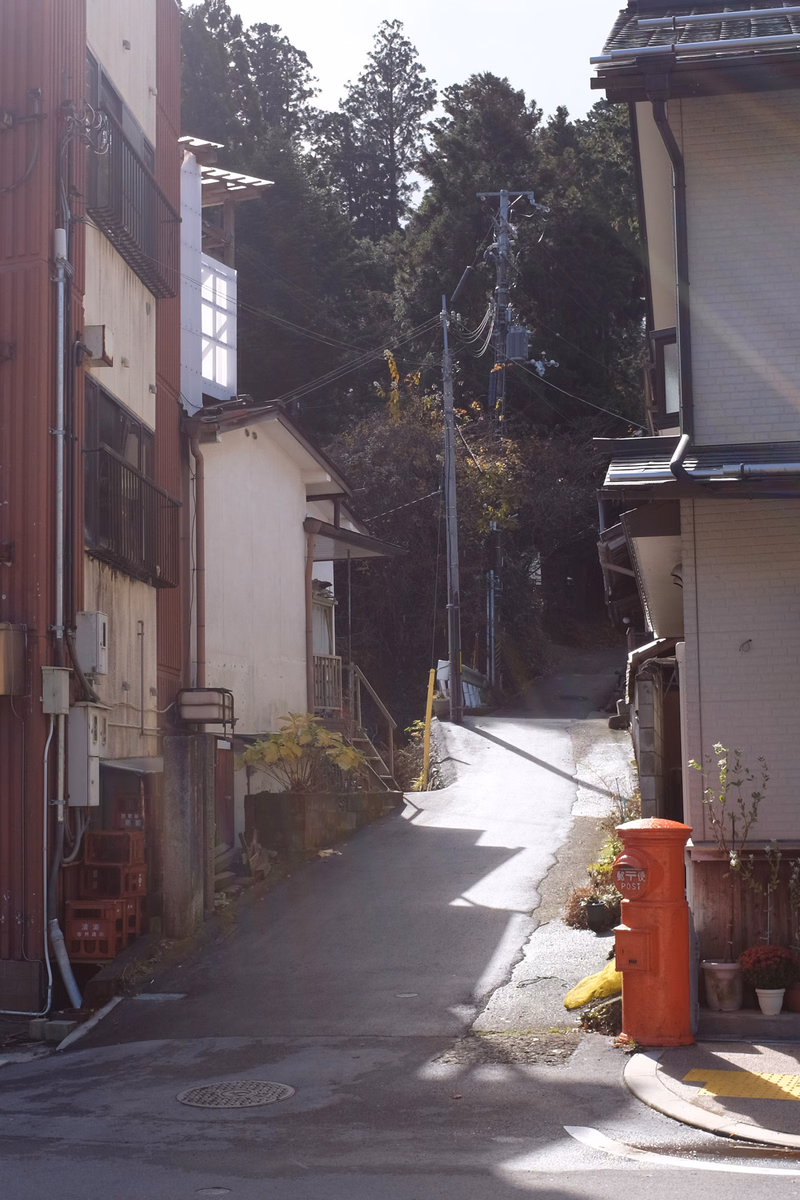 A narrow residential street lined with houses and tall trees, featuring a red mailbox near the curb.