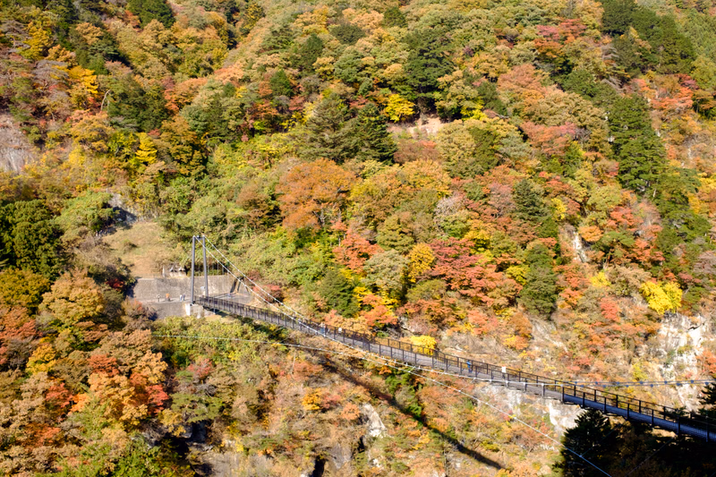 A suspension bridge crosses a valley surrounded by vibrant autumn foliage in a mountainous forest setting.
