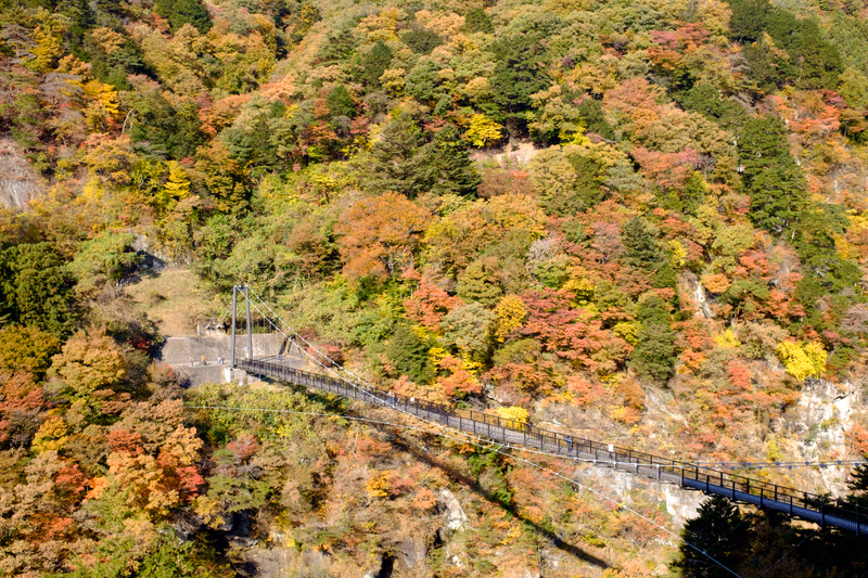 A bridge in a forest with colorful autumn trees.