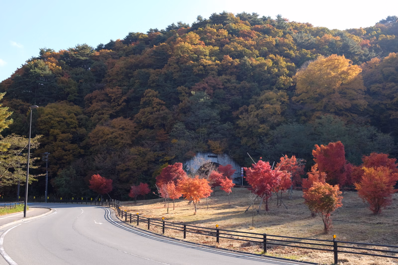 A winding road passes through a landscape dominated by a hillside covered in vibrant autumn leaves.