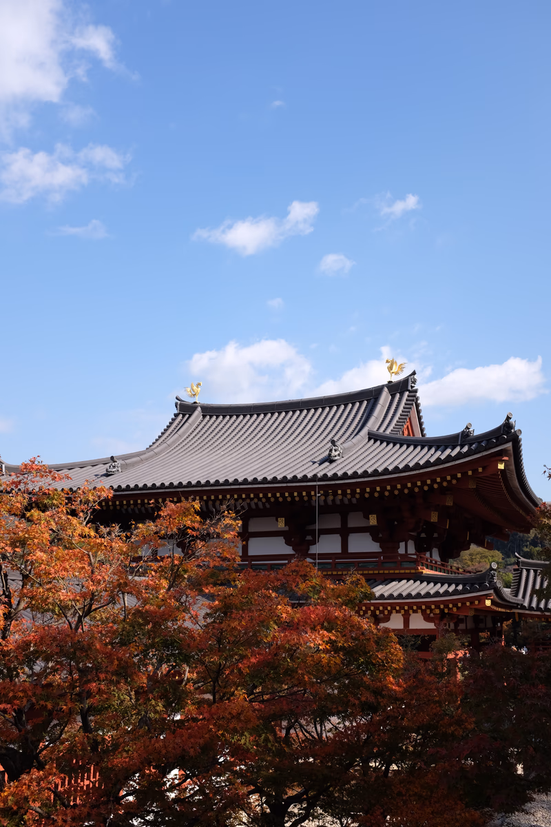 A photo of a traditional Japanese building with autumn leaves and a clear blue sky.