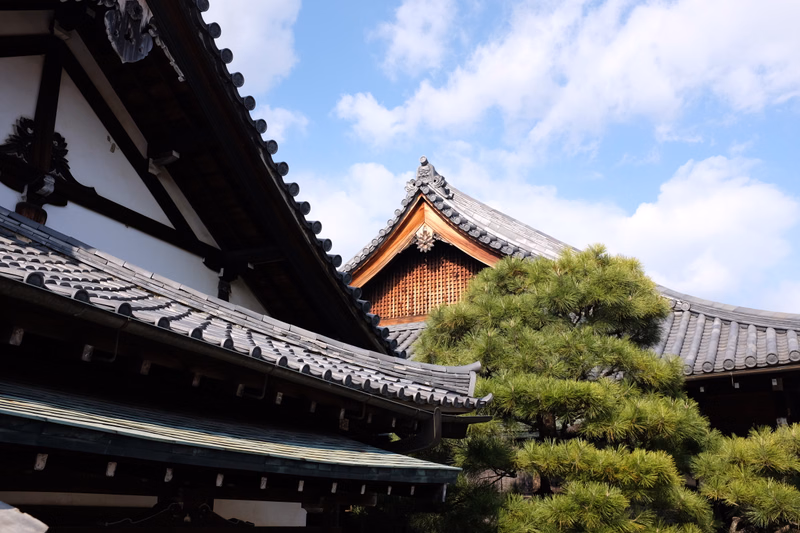 Traditional Japanese temple architecture with dark tiled roofs is visible against a bright blue sky with white clouds, partially obscured by a green pine tree.
