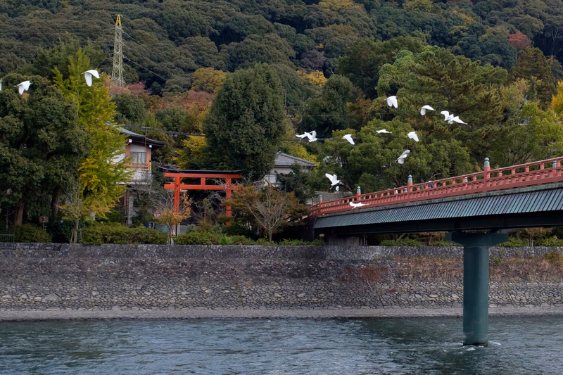 A traditional red bridge spans a river, with lush green trees and a temple visible in the background, and several white pigeons flying.