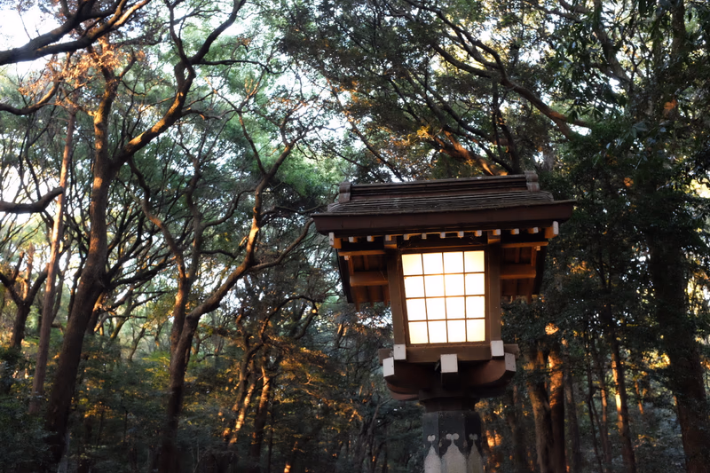 A traditional Japanese lantern stands in a forest, surrounded by tall trees with dappled sunlight filtering through.