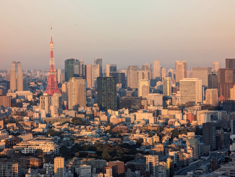 The Tokyo Skytree stands tall above a dense cityscape of buildings during the late afternoon.