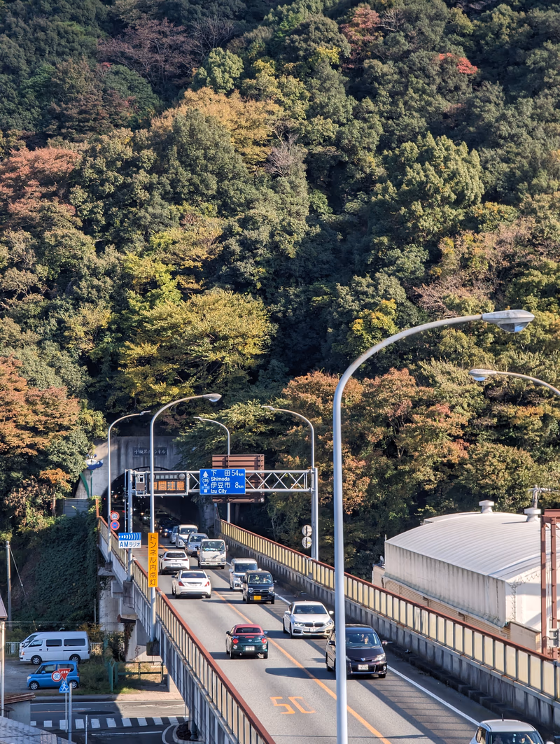 A photo of a bridge over a forested area with cars and buses traveling on a road.