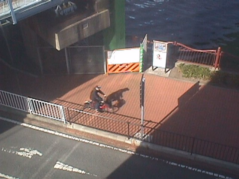 A person walking a dog on a wooden deck near a beach hut, with a sign that reads "2" visible.