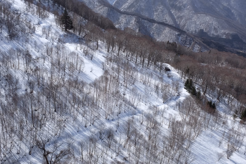 A snowy mountain landscape with a path.