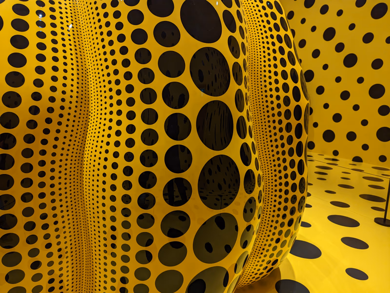 The photo is a visual representation of an abstract art piece.