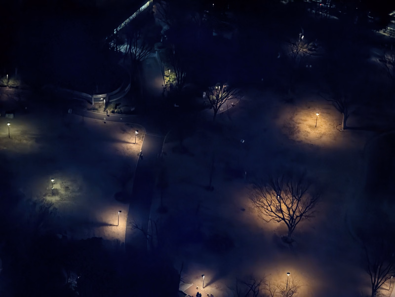 A nighttime view of a park area with scattered streetlights illuminating dark trees and pathways.
