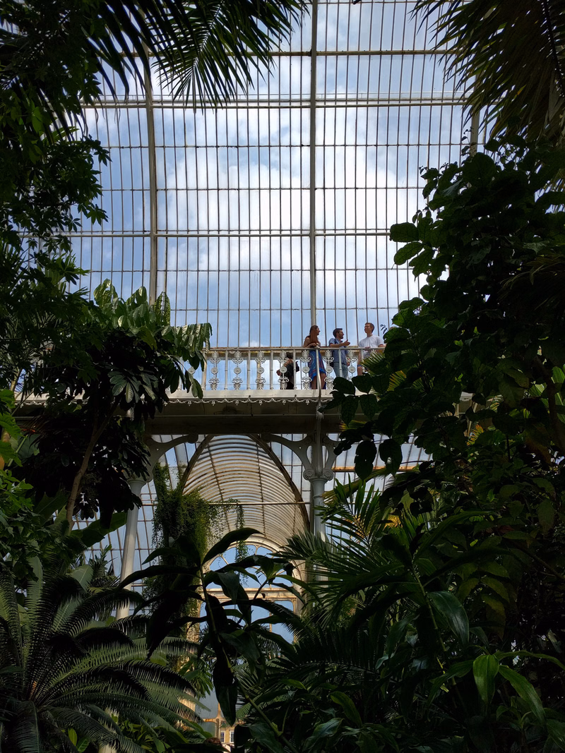 Several people stand on a balcony inside a large glass conservatory surrounded by lush green plants.